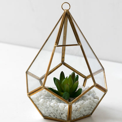 Modern Plant Terrarium