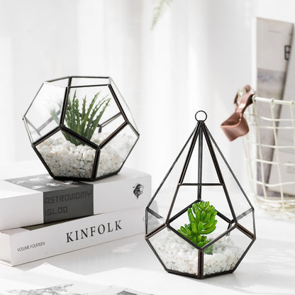 Modern Plant Terrarium