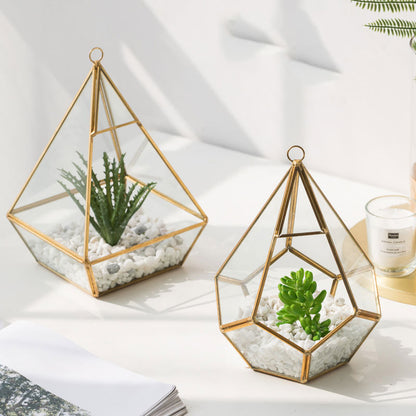 Modern Plant Terrarium