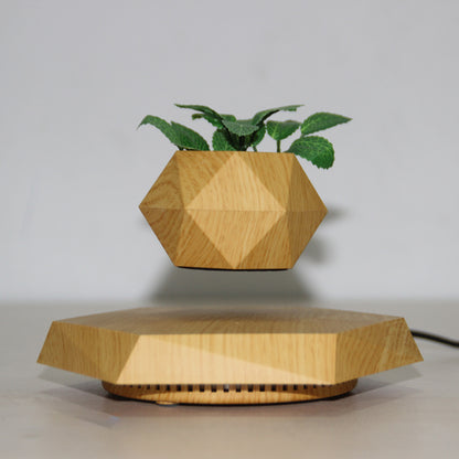 Levitating Plant Pot