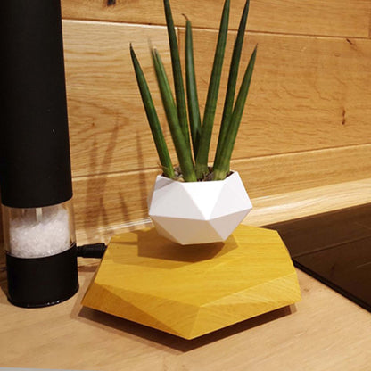 Levitating Plant Pot